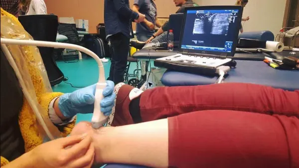 Activité professionnelle