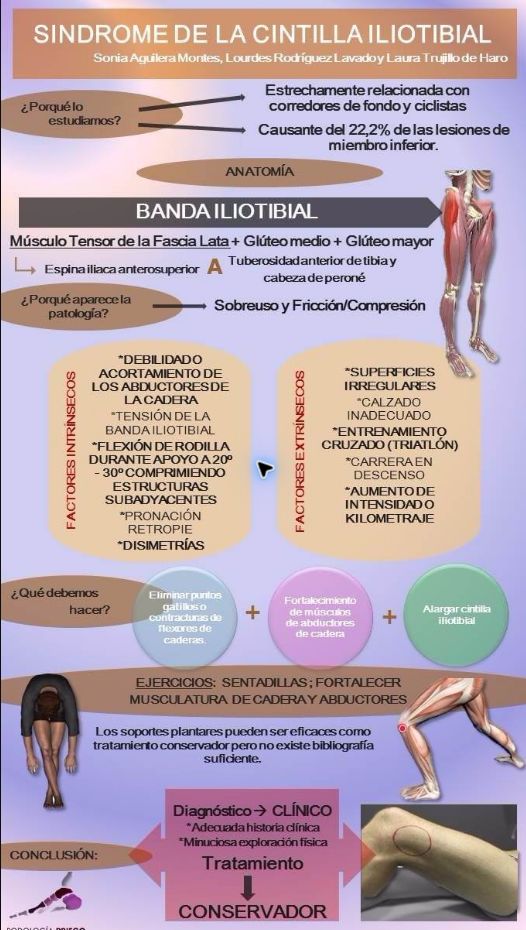 Actividad profesional